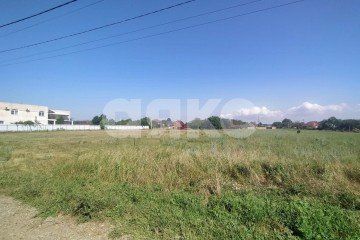 Фото №2: Личное подсобное хозяйство - Кучугуры, ул. Виноградная, 16
