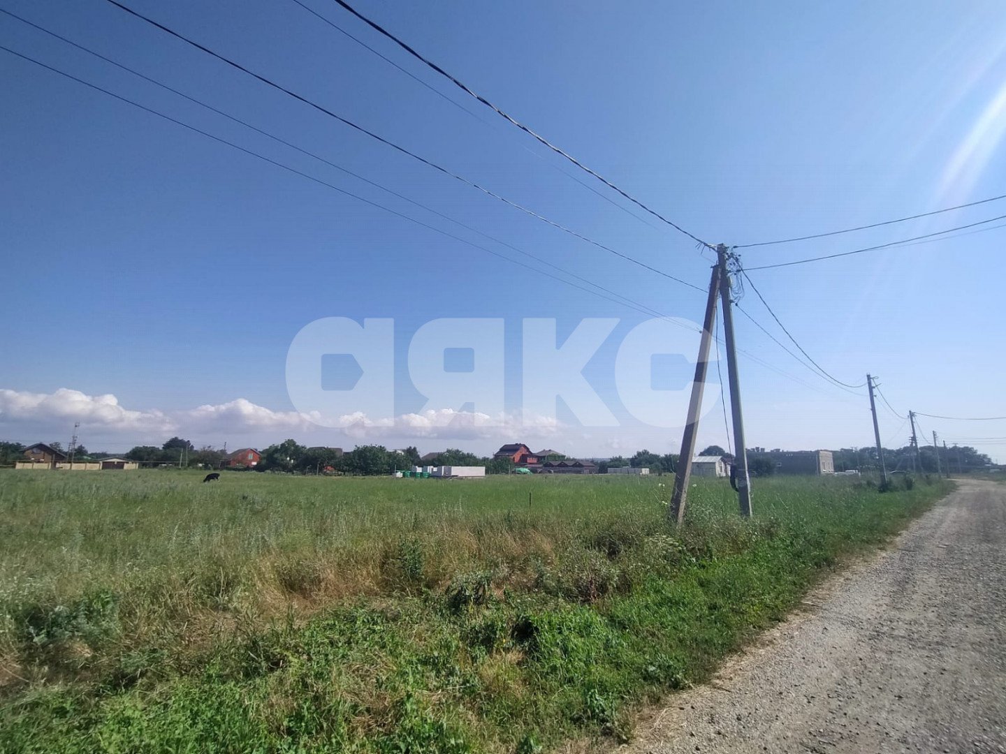 Фото №6: Личное подсобное хозяйство 15.41 сот. - Кучугуры, ул. Виноградная, 16