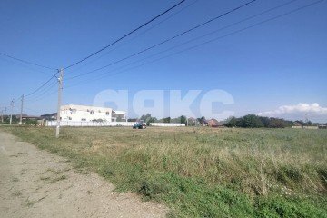 Фото №4: Личное подсобное хозяйство - Кучугуры, ул. Виноградная, 16