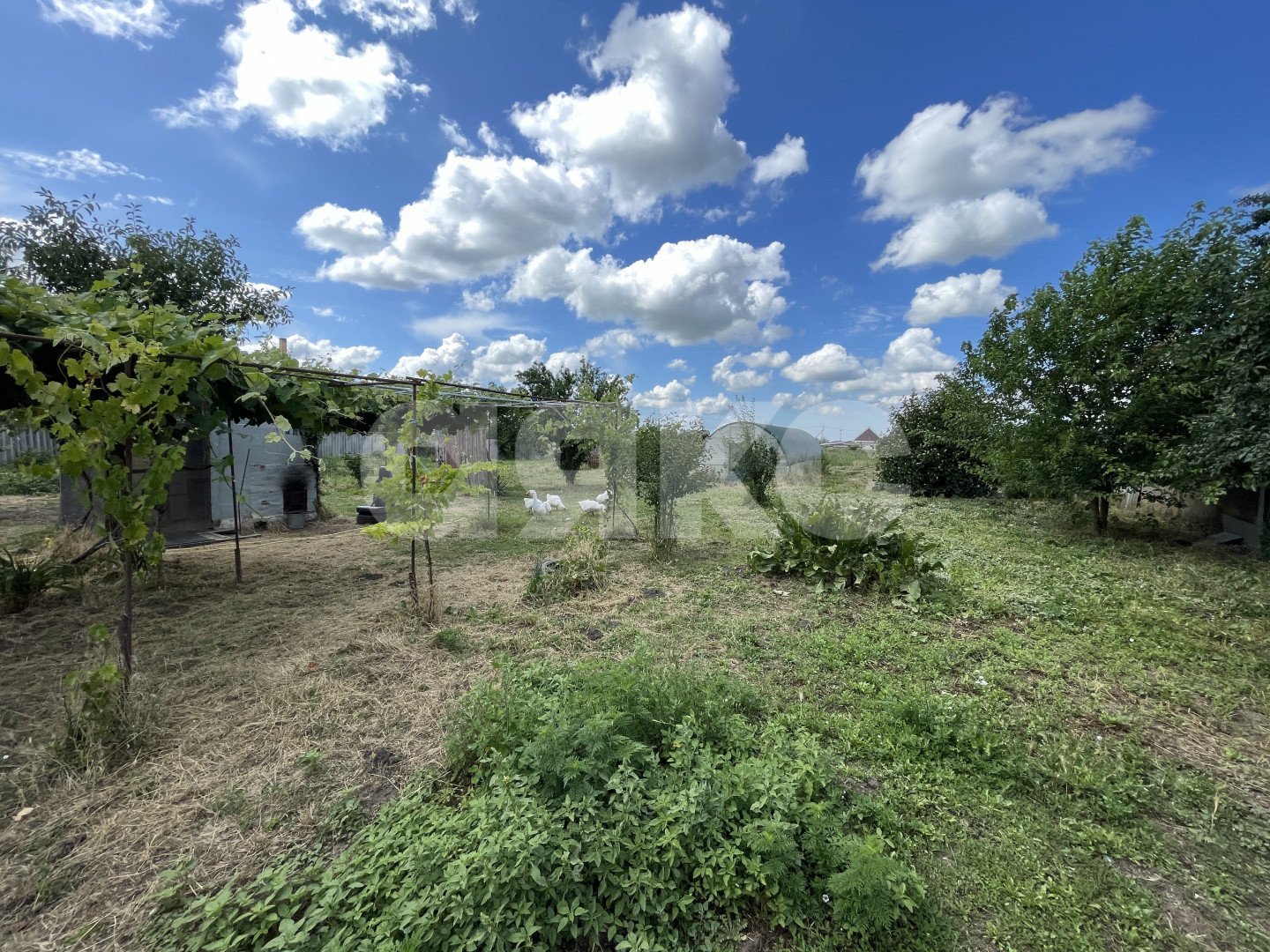 Фото №30: Дом 60 м² + 15 сот. - Коржевский, ул. Пионерская