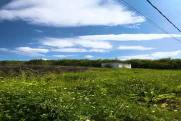 Фото №4: Земельный участок 15 сот. - Азовская, мкр. Матросова, ул. Матросова, 87