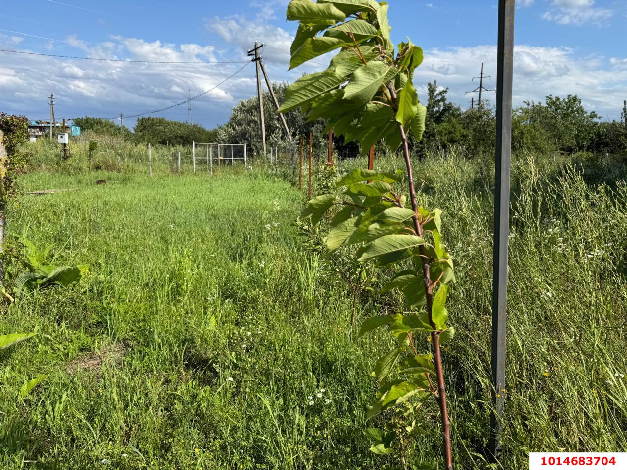 Фото №6: Земельный участок 4.02 сот. - Октябрьский, Прикубанский внутригородской округ, ст Краснодарский ЗИП-20, ул. Персиковая, 18/1