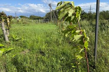 Фото №4: Земельный участок 4.02 сот. - Октябрьский, ст Краснодарский ЗИП-20, ул. Персиковая, 18/1