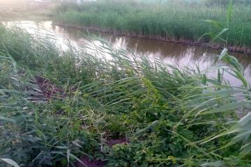 Фото №5: Земельный участок 10 сот. - Пластуновская, ул. Короткая, 17