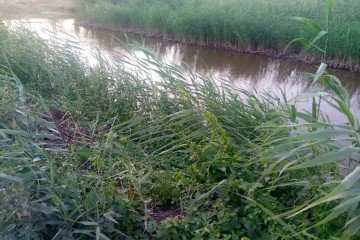 Фото №5: Земельный участок под ИЖС 10 сот. - Пластуновская, ул. Короткая, 17