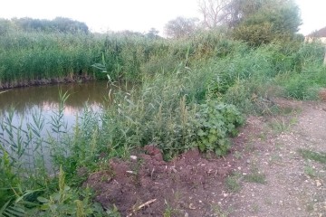 Фото №3: Земельный участок под ИЖС 10 сот. - Пластуновская, ул. Короткая, 17