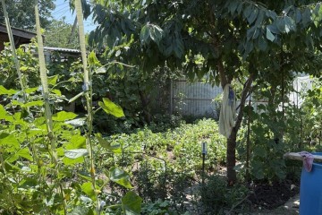 Фото №3: Дом 50 м² - Краснодар, ж/м Пашковский, ул. Ленина, 93А