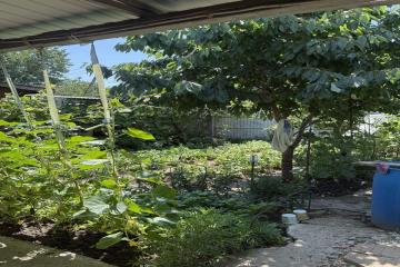 Фото №3: Дом 50 м² - Краснодар, ж/м Пашковский, ул. Ленина, 93А