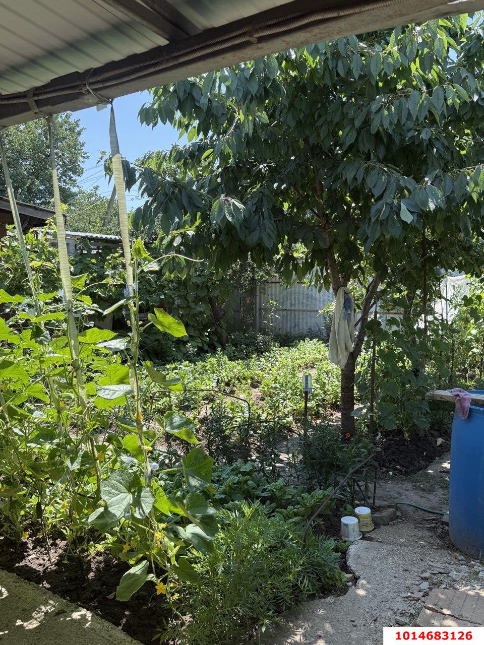 Фото №3: Дом 50 м² + 4.13 сот. - Краснодар, Карасунский внутригородской округ, ж/м Пашковский, ул. Ленина, 93А