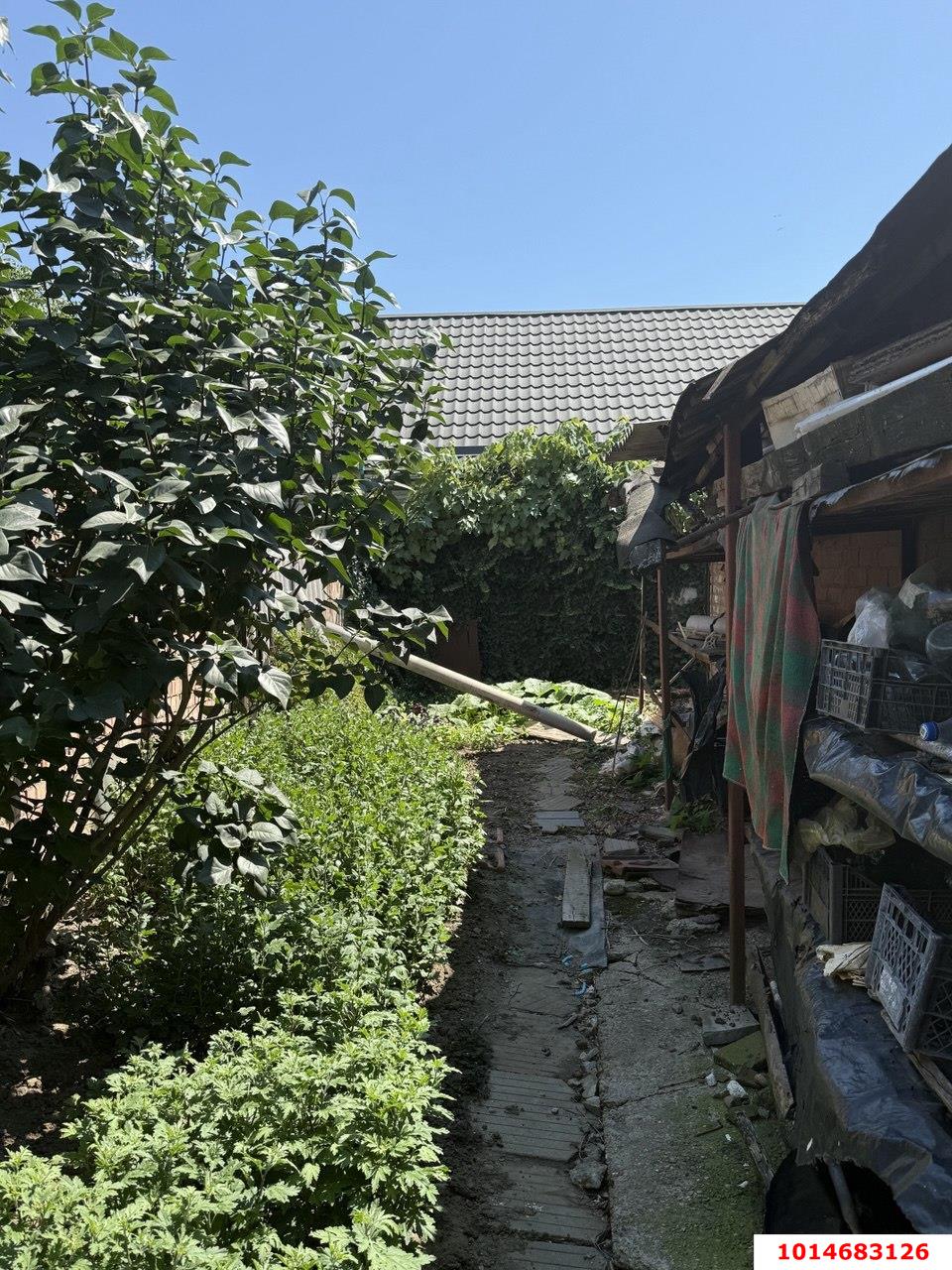 Фото №8: Дом 50 м² + 4.13 сот. - Краснодар, Пашковский, ул. Ленина, 93А