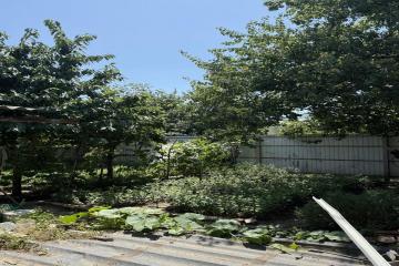 Фото №4: Дом 50 м² - Краснодар, ж/м Пашковский, ул. Ленина, 93А