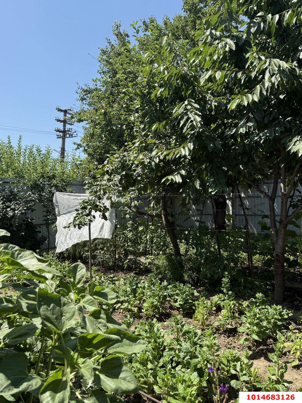 Фото №6: Дом 50 м² + 4.13 сот. - Краснодар, Карасунский внутригородской округ, ж/м Пашковский, ул. Ленина, 93А