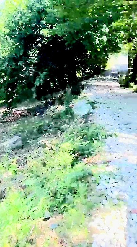 Фото №2: Участок садоводство 4.7 сот. - Дагомыс, Лазаревский, ул. Российская