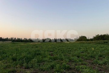 Фото №2: Личное подсобное хозяйство - Заря, 