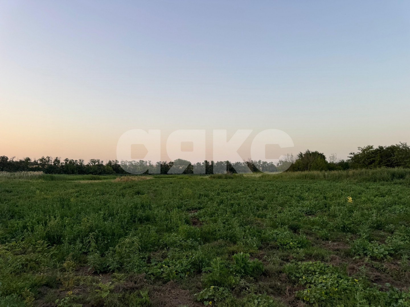 Фото №2: Личное подсобное хозяйство 30 сот. - Заря, 