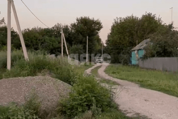 Фото №4: Личное подсобное хозяйство - Заря, 