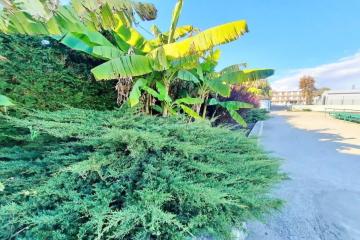 Фото №4: Студия 21 м² - Джубга, ул. Советская, 2/2