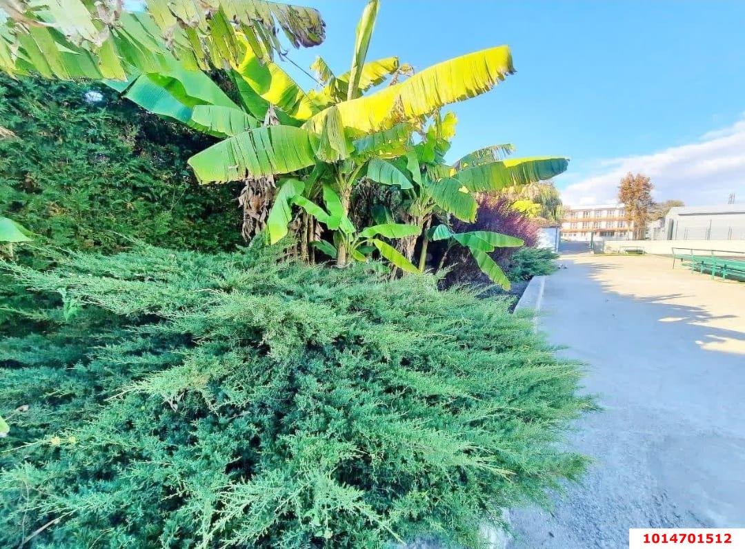 Фото №4: Студия 21 м² - Джубга, ул. Советская, 2/2