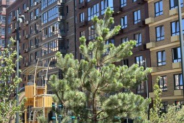 Фото №2: Студия 24 м² - Краснодар, мкр. жилой комплекс Спортивная Деревня, ул. имени Генерала Корнилова, 18