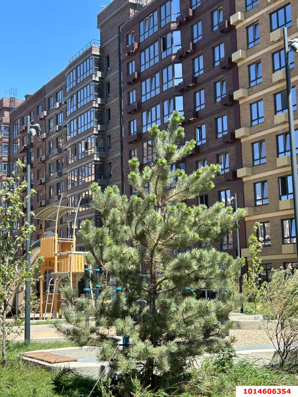 Фото №2: Студия 24 м² - Краснодар, жилой комплекс Спортивная Деревня, ул. имени Генерала Корнилова, 18