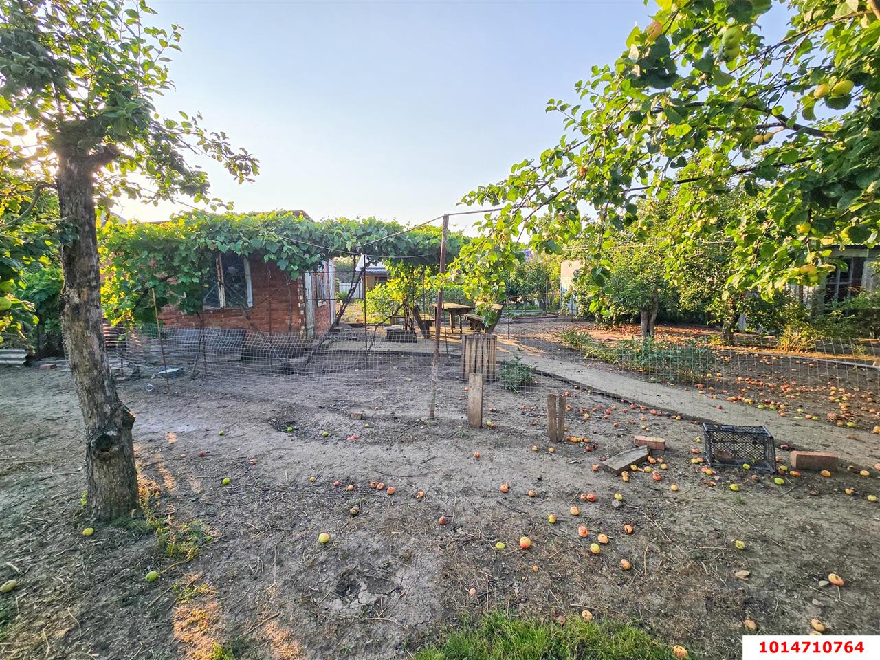 Фото №5: Дом 32 м² + 4 сот. - Елизаветинская, Калининец, ул. Сливовая, 165