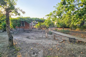 Фото №5: Дом 32 м² - Елизаветинская, ст Калининец, ул. Сливовая, 165