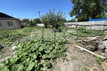 Фото №3: Личное подсобное хозяйство - Красный Октябрь, ул. Школьная, 1А