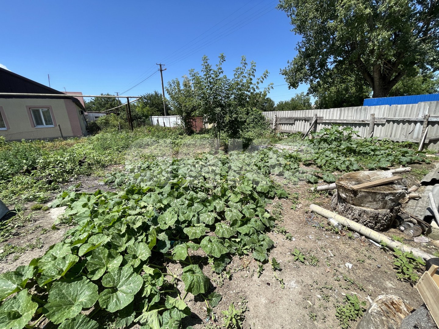 Фото №3: Личное подсобное хозяйство 14 сот. - Красный Октябрь, ул. Школьная, 1А