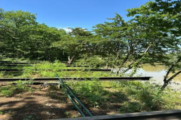 Фото №5: Коммерция 178 м² - Молькин, 