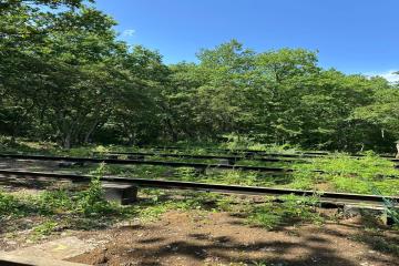 Фото №3: Коммерция 178 м² - Молькин, 