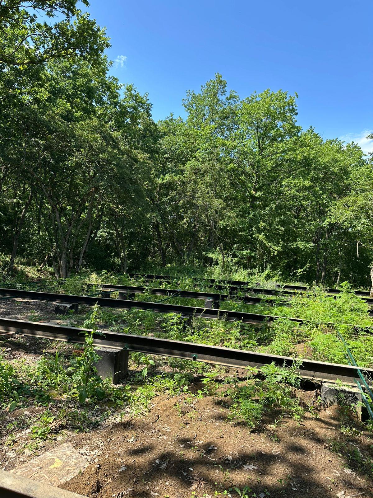 Фото №3: Коммерция 178 м² - Молькин