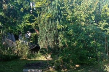 Фото №2: Участок садоводство 4.5 сот. - Берег Кубани ВНИИ риса, мкр. Прикубанский внутригородской округ, ул. Набережная, 1