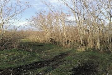 Фото №3: Земельный участок 6.86 сот. - Вольно-Весёлый, пер. Короткий, 1