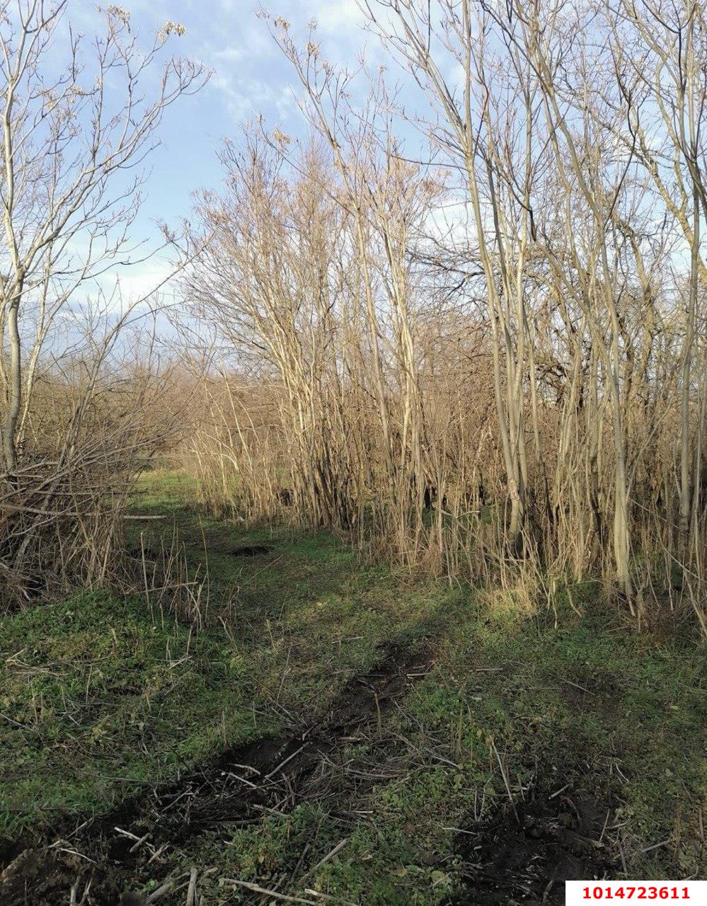 Фото №3: Земельный участок под ИЖС - Вольно-Весёлый, пер. Короткий, 1