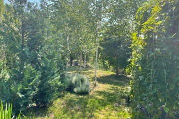 Фото №2: Дом 137 м² - отделения № 2 СКЗНИИСиВ, мкр. Прикубанский внутригородской округ, ул. Открытая, 26