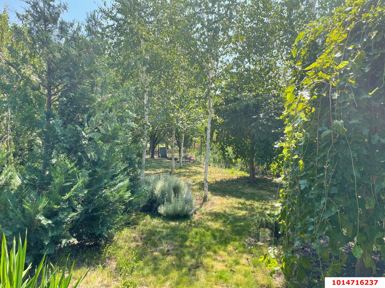 Фото №11: Дом 137 м² + 10 сот. - отделения № 2 СКЗНИИСиВ, мкр. Прикубанский внутригородской округ, ул. Открытая, 26