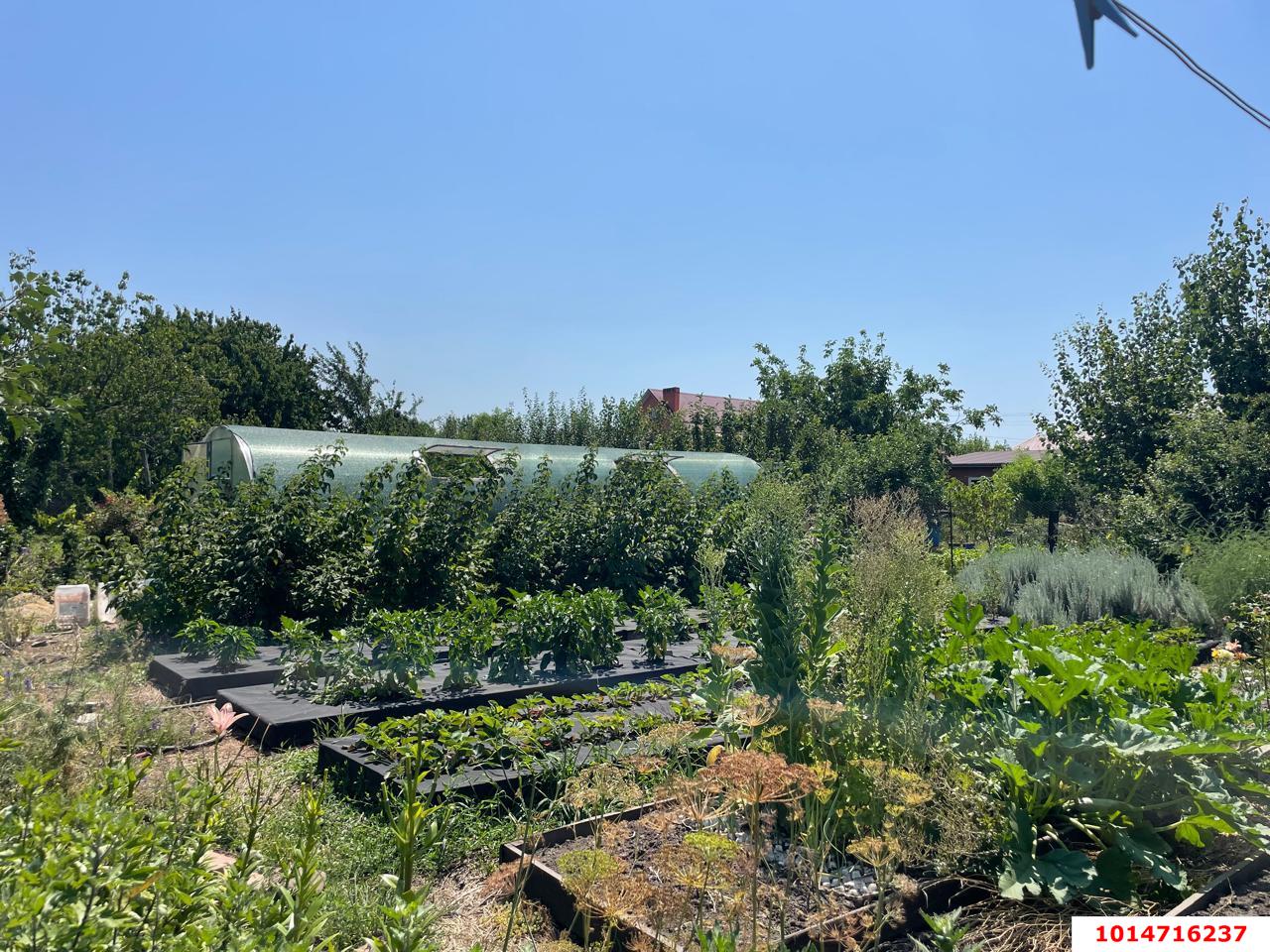 Фото №14: Дом 137 м² + 10 сот. - отделения № 2 СКЗНИИСиВ, Прикубанский внутригородской округ, ул. Открытая, 26