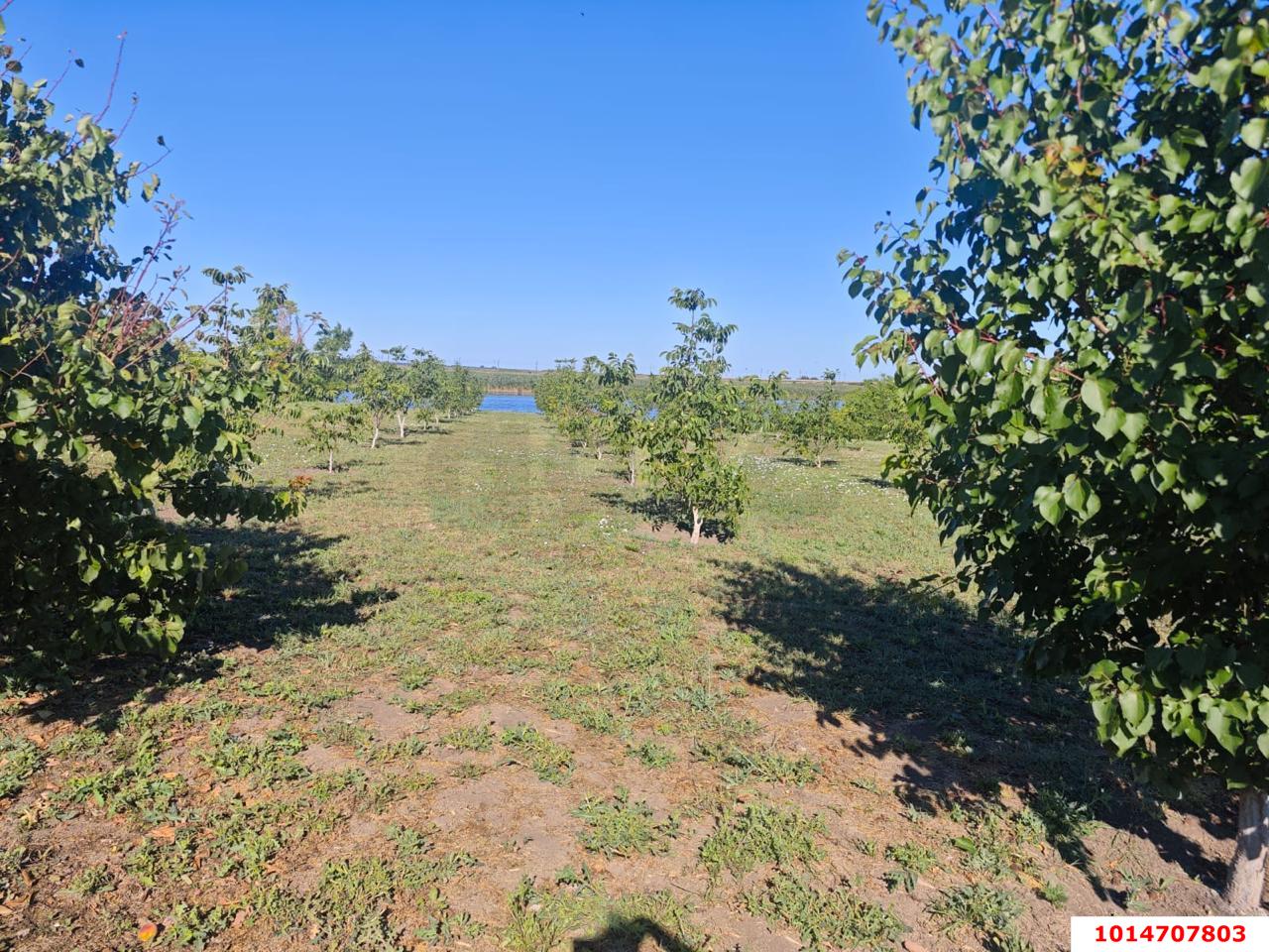 Фото №11: Дом 32 м² + 53 сот. - Стародеревянковская, ул. Черноморская, 200