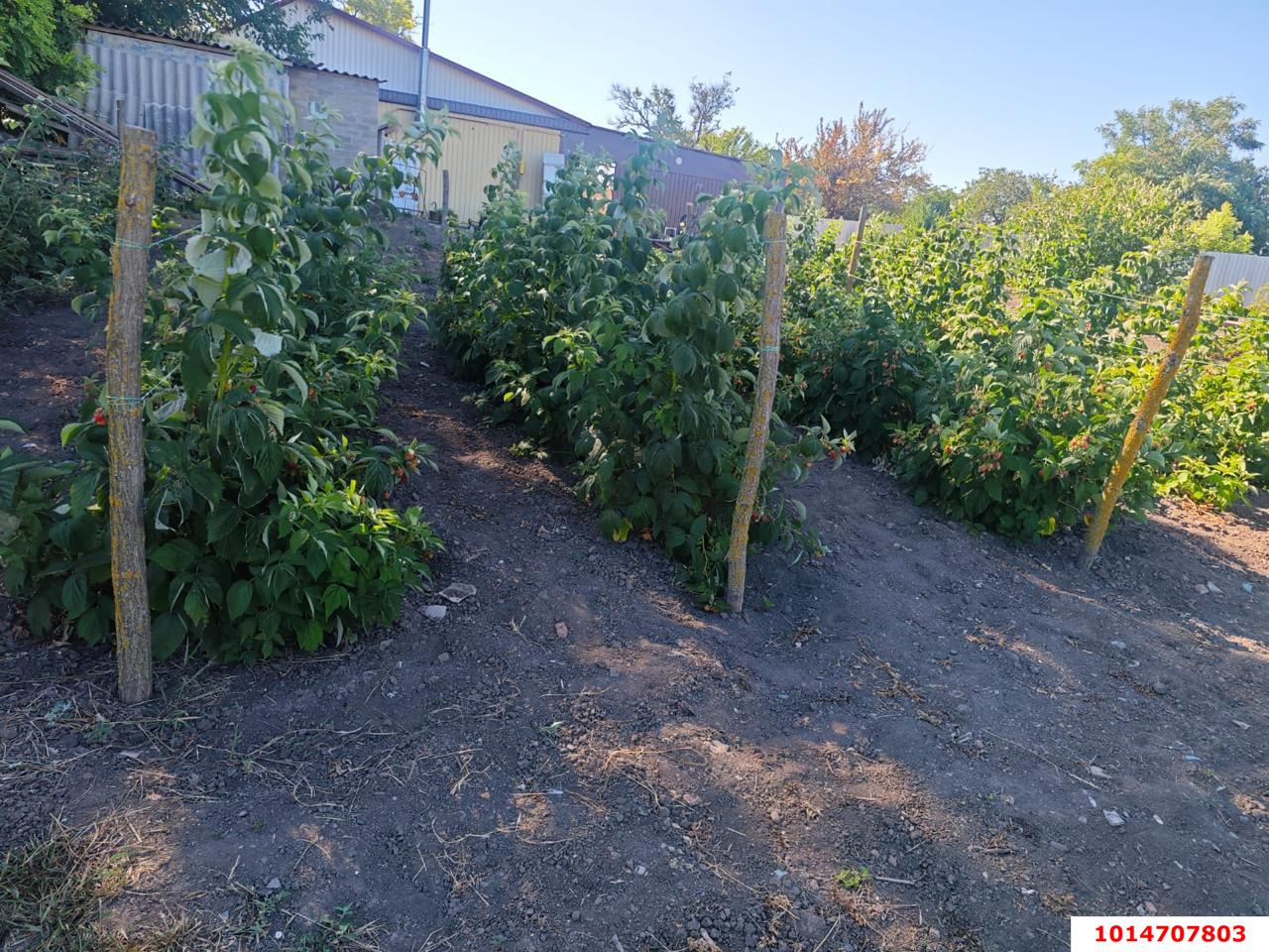 Фото №12: Дом 32 м² + 53 сот. - Стародеревянковская, ул. Черноморская, 200