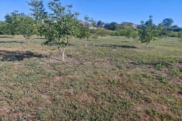 Фото №5: Дом 32 м² - Стародеревянковская, ул. Черноморская, 200