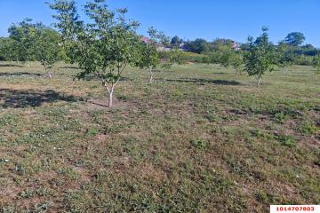 Фото №5: Дом 32 м² - Стародеревянковская, ул. Черноморская, 200