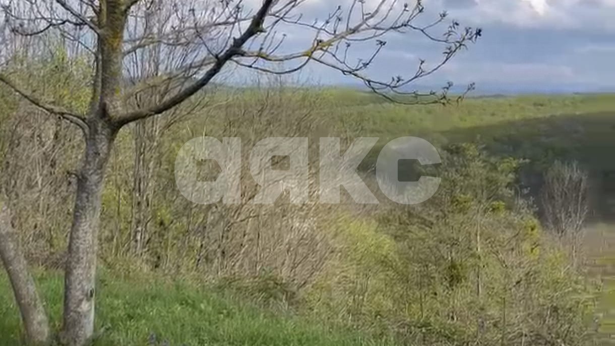 Фото №6: Участок садоводство 10 сот. - Кутаис, ул. Новая