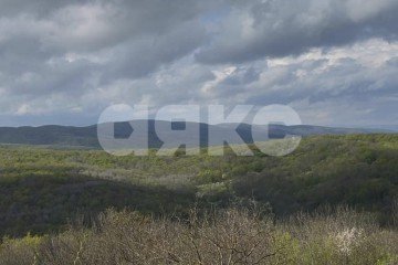 Фото №3: Участок садоводство - Кутаис, ул. Новая