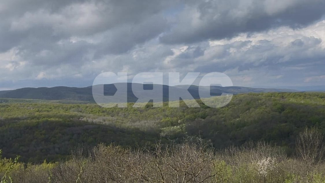 Фото №3: Участок садоводство 10 сот. - Кутаис, ул. Новая