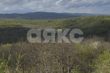 Фото №1: Участок садоводство - Кутаис, ул. Новая