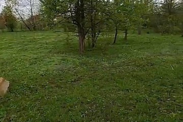 Фото №1: Земельный участок под ИЖС 7.2 сот. - Саратовская, ул. Первомайская