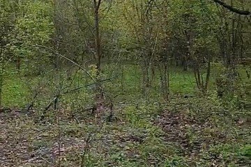 Фото №5: Земельный участок под ИЖС 7.2 сот. - Саратовская, ул. Первомайская