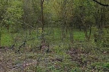 Фото №5: Земельный участок под ИЖС 7.2 сот. - Саратовская, ул. Первомайская