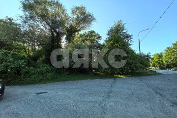 Фото №2: Личное подсобное хозяйство - Сочи, мкр. Нижняя Хобза, ул. А-147, 151-й километр