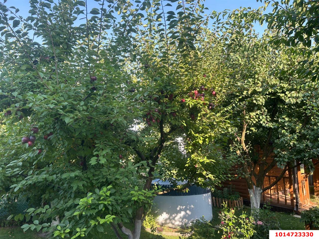 Фото №18: Дом 39 м² + 3.93 сот. - Мечта, Карасунский внутригородской округ, ул. Алых Роз